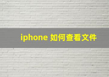 iphone 如何查看文件